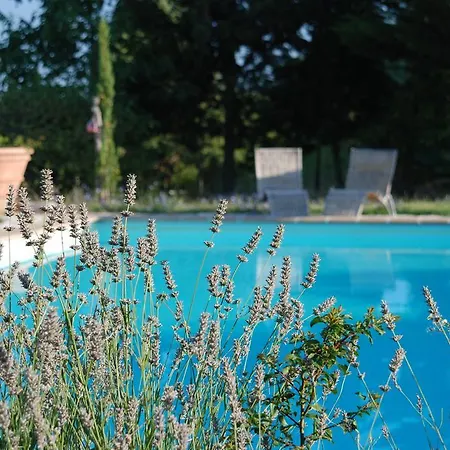 Il Tamantino Feriegård