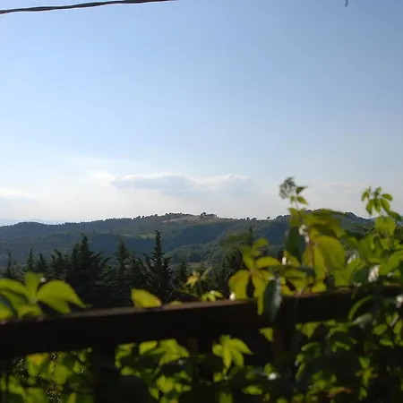 Feriegård Il Tamantino *